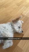 mathilda_bergs Altpins Profile Picture