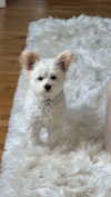 mathilda_bergs Altpins Profile Picture
