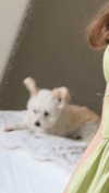 mathilda_bergs Altpins Profile Picture