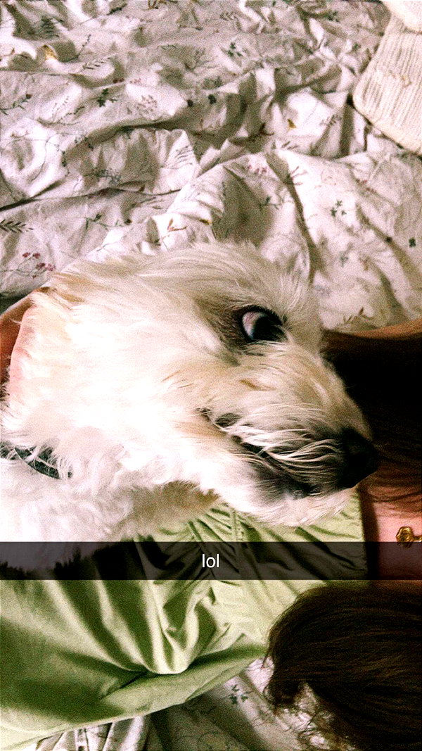mathilda_bergs snapchat image archive image