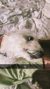 mathilda_bergs Altpins Profile Picture