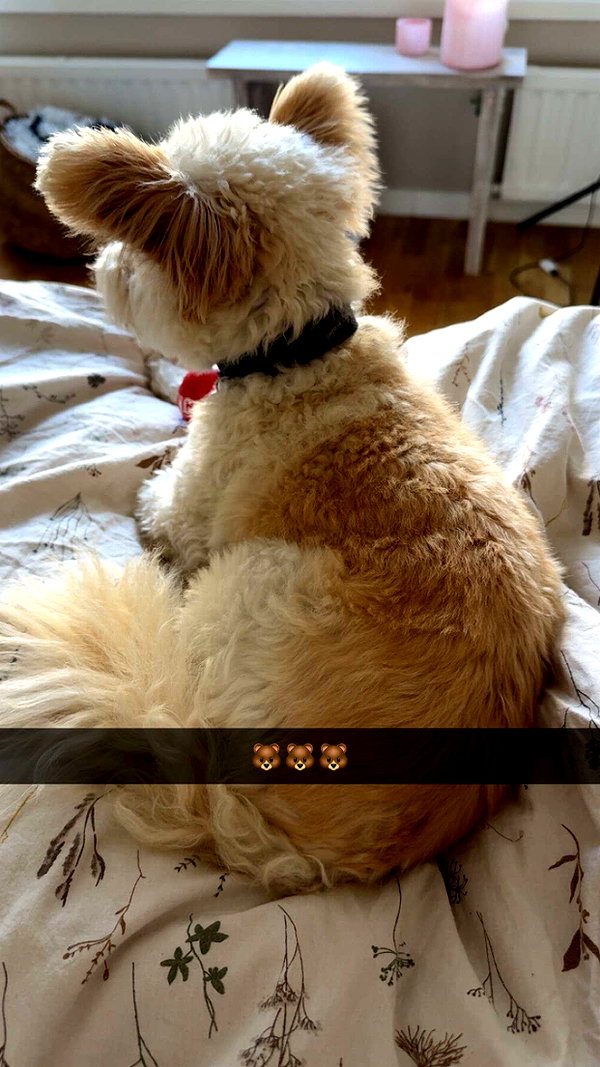 mathilda_bergs snapchat image archive image