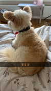 mathilda_bergs Altpins Profile Picture