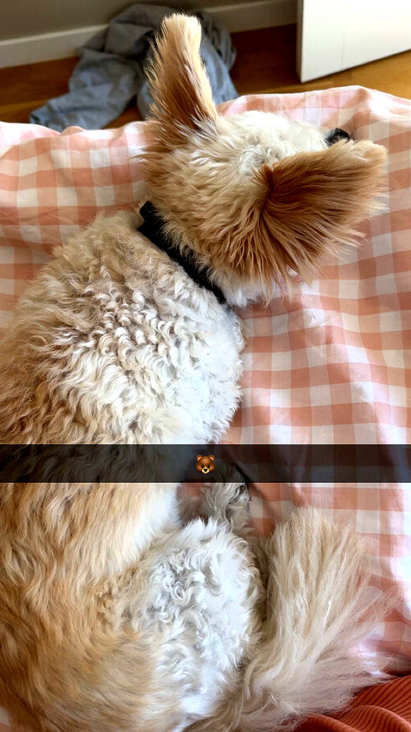 mathilda_bergs snapchat image archive image