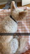 mathilda_bergs Altpins Profile Picture