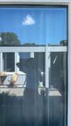 mathilda_bergs Altpins Profile Picture