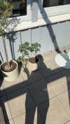 mathilda_bergs Altpins Profile Picture