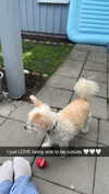 mathilda_bergs Altpins Profile Picture