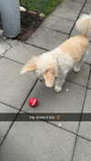mathilda_bergs Altpins Profile Picture