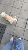 mathilda_bergs Altpins Profile Picture
