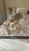 mathilda_bergs Altpins Profile Picture