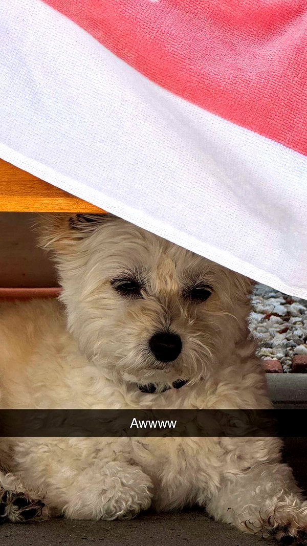 mathilda_bergs snapchat image archive image