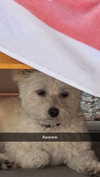 mathilda_bergs Altpins Profile Picture