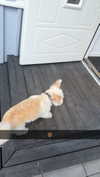 mathilda_bergs Altpins Profile Picture