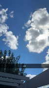 mathilda_bergs Altpins Profile Picture