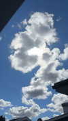 mathilda_bergs Altpins Profile Picture
