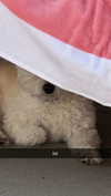 mathilda_bergs Altpins Profile Picture