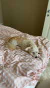 mathilda_bergs Altpins Profile Picture