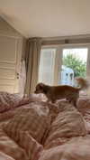 mathilda_bergs Altpins Profile Picture