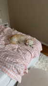 mathilda_bergs Altpins Profile Picture
