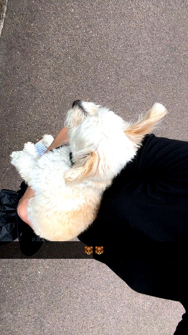 mathilda_bergs snapchat image archive image