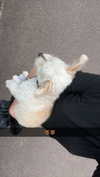 mathilda_bergs Altpins Profile Picture