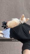 mathilda_bergs Altpins Profile Picture