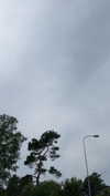 mathilda_bergs Altpins Profile Picture