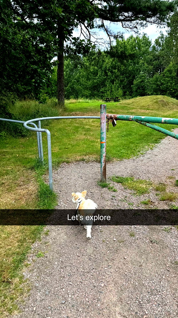 mathilda_bergs snapchat image archive image