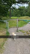 mathilda_bergs Altpins Profile Picture