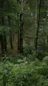 mathilda_bergs Altpins Profile Picture