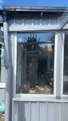 mathilda_bergs Altpins Profile Picture
