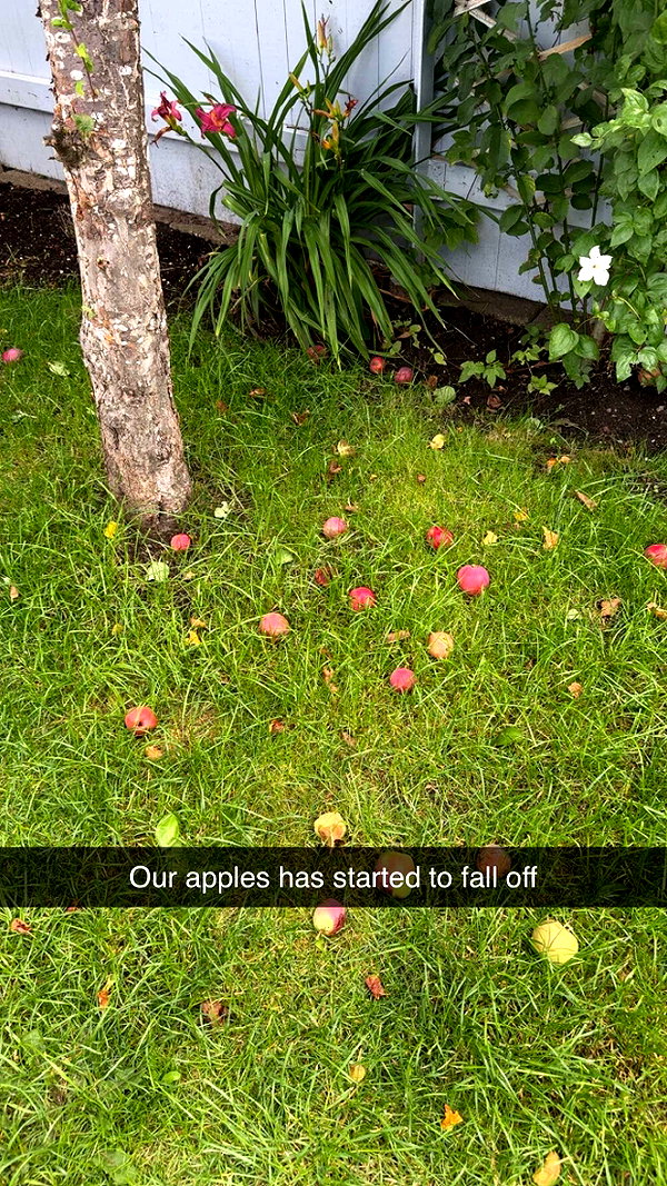 mathilda_bergs snapchat image archive image