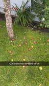 mathilda_bergs Altpins Profile Picture