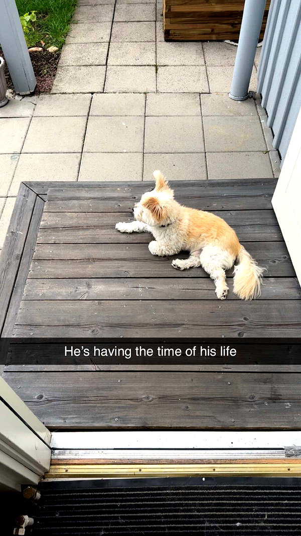 mathilda_bergs snapchat image archive image
