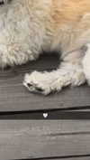 mathilda_bergs Altpins Profile Picture