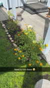 mathilda_bergs Altpins Profile Picture