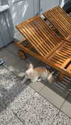 mathilda_bergs Altpins Profile Picture
