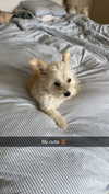 mathilda_bergs Altpins Profile Picture
