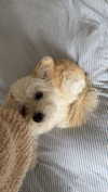 mathilda_bergs Altpins Profile Picture