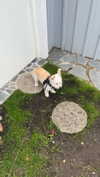 mathilda_bergs Altpins Profile Picture