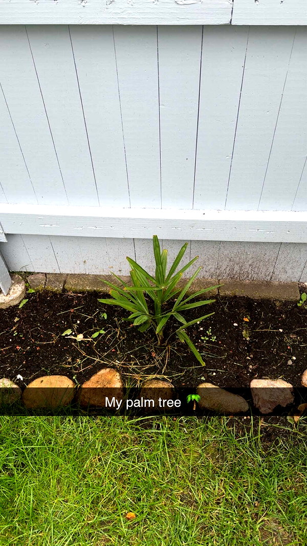 mathilda_bergs snapchat image archive image