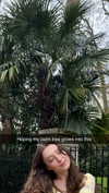 mathilda_bergs Altpins Profile Picture