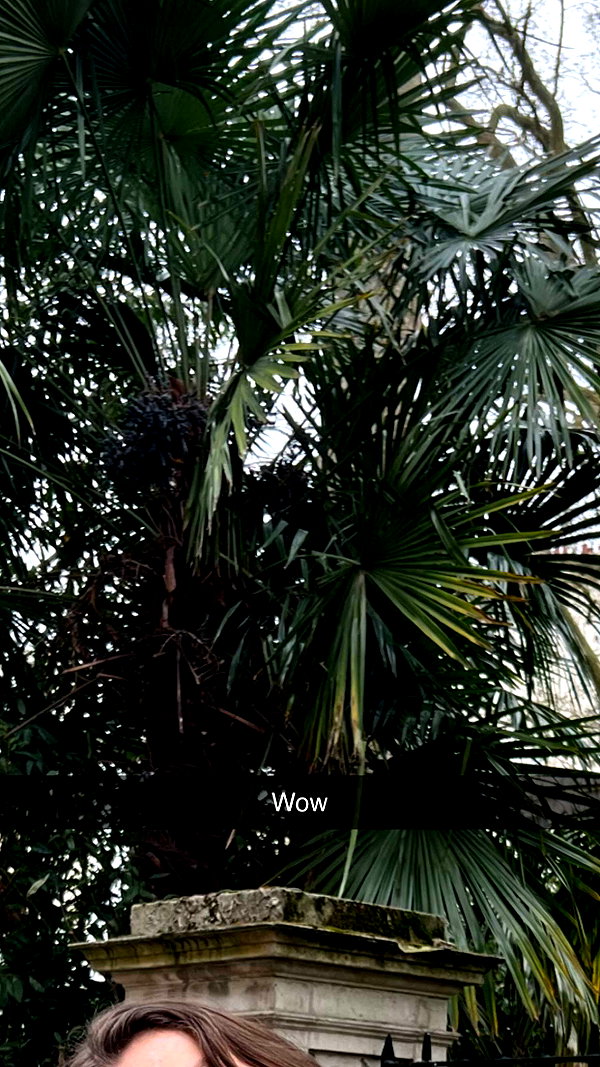 mathilda_bergs snapchat image archive image