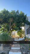 mathilda_bergs Altpins Profile Picture