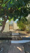 mathilda_bergs Altpins Profile Picture