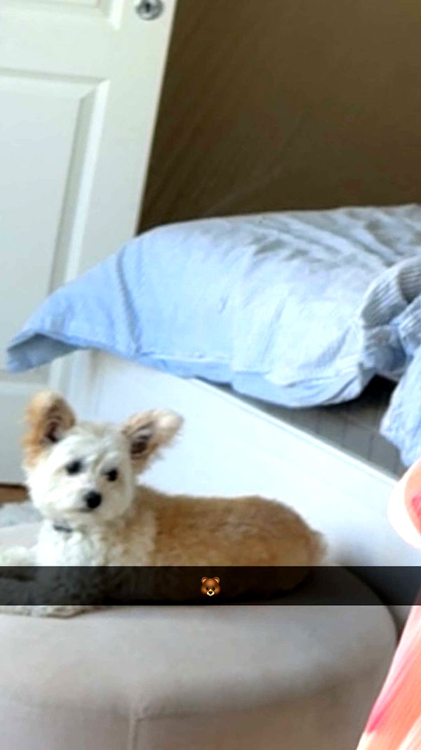 mathilda_bergs snapchat image archive image