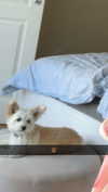 mathilda_bergs Altpins Profile Picture
