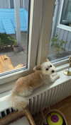 mathilda_bergs Altpins Profile Picture