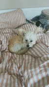 mathilda_bergs Altpins Profile Picture